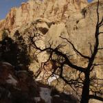 Capital Reef National Park - Utah 